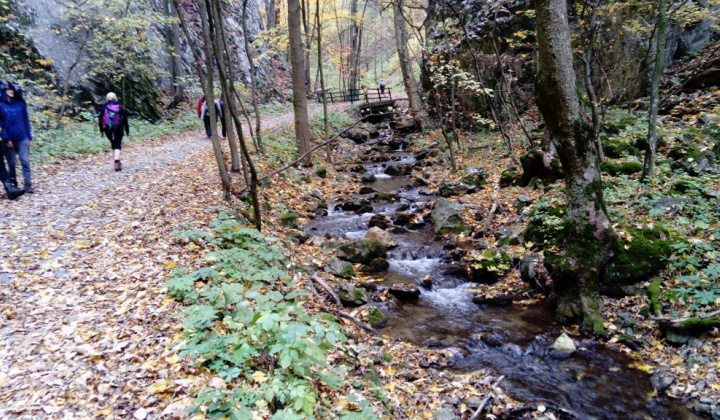Zobraziť fotografiu