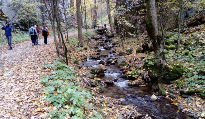 Zobraziť fotografiu