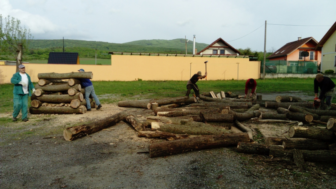 Vatra 2017 