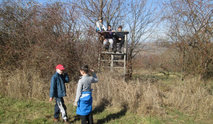 Zobraziť fotografiu