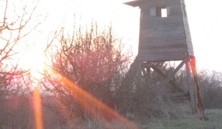 Zobraziť fotografiu